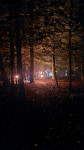 Halloween 2024 - 013