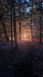 Halloween 2024 - 022