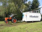 Schützenfest 2014 (Donnerstag) - 07