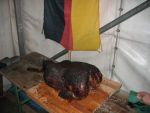 Schützenfest 2014 (Mittwoch) - 22